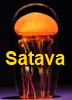 Richard Satava -Master glassblower